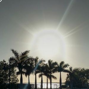 Meet your Posher, Ginger